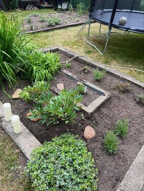 Foto - Grundst&uuml;ck zur Miete in Zwickau