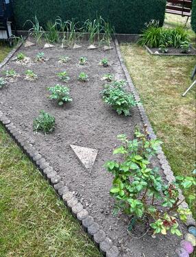 Foto - Grundst&uuml;ck in Zwickau zur Miete