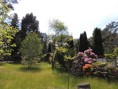 Foto - Grünheide Traumlage 2 Bungalow's Wohnen möglich