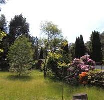 Grünheide Traumlage 2 Bungalow's Wohnen möglich - Erkner