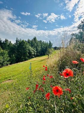 Foto - Einfamilienhaus in Gornsdorf