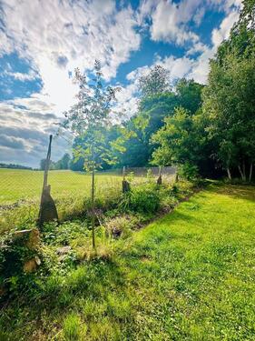 Foto - Einfamilienhaus in Gornsdorf zum Kaufen