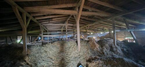 Foto - 5 Zimmer Einfamilienhaus in Heringsdorf