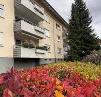 Toprenovierte 2 Zimmerwohnung im Luftkurort Seelbach Lahr