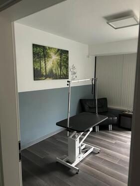 Foto - Hundephysio oder Hundefriseur Untermiete Raummiete