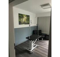 Hundephysio oder Hundefriseur Untermiete Raummiete - Wietmarschen