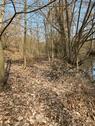 Foto - Waldgrundstück Flussgrundstück (Möhne) Günne zu verpachten