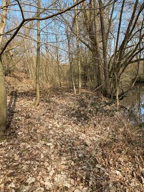 Foto - Waldgrundstück Flussgrundstück (Möhne) Günne zu verpachten