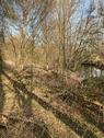Foto - Grundst&uuml;ck in Soest zur Miete