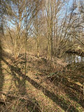 Foto - Grundst&uuml;ck in Soest zur Miete