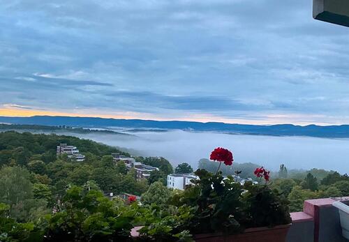 Foto - Helles, möbliertes 17 m² WG-Zimmer in 68 m² Wohnung 
