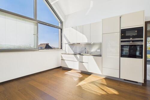 Foto - Einfamilienhaus in Aschaffenburg zur Miete