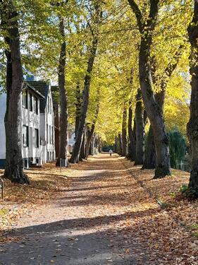 Foto - 1 Zimmer Etagenwohnung zur Miete in Jever