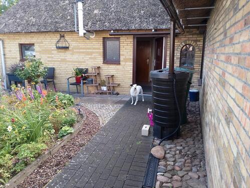 Foto - Einfamilienhaus in Wrohm