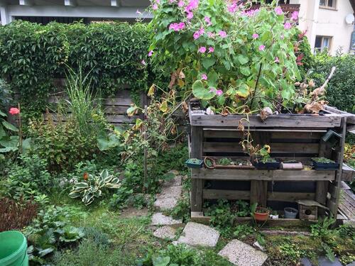 Foto - Einfamilienhaus in Sonneberg zum Kaufen