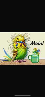 Foto - 5 Zimmer Etagenwohnung zur Miete in Wilhelmshaven