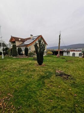 Foto - 6 Zimmer Einfamilienhaus zum Kaufen in Eschershausen