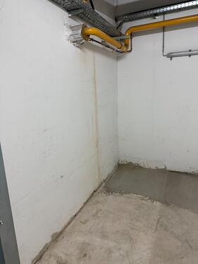 Foto - andere in Ludwigshafen am Rhein zur Miete