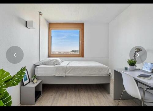 Foto - Zimmer in der Nähe von der PHFH zur Untermiete