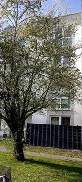 Foto - Gepflegte geräumige 1-Zimmer-Wohnung