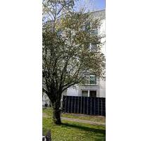 Gepflegte geräumige 1-Zimmer-Wohnung - Bonn Auerberg