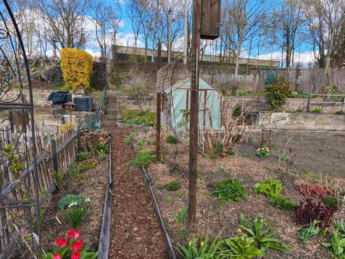 Foto - Grundst&uuml;ck in Dresden zur Miete