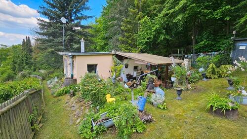Foto - Schönes Waldnahes Garten- Wochenendgrundstück