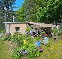 Schönes Waldnahes Garten- Wochenendgrundstück - Dornburg-Camburg