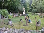 Foto - Einfamilienhaus in Dornburg-Camburg