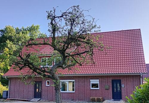 Foto - 5 Zimmer Einfamilienhaus in Löningen