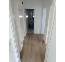 Renovierte helle, 2-Zimmer Wohnung - Birkenfeld