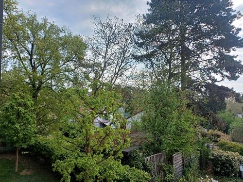 Foto - Wohnung in Bad Soden VON PRIVAT zu verkaufen