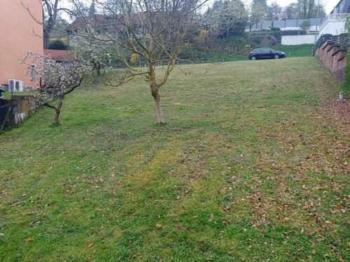 Foto - Grundstück zur Miete in Birstein