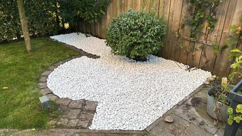 Foto - Einfamilienhaus in Vechta zur Miete