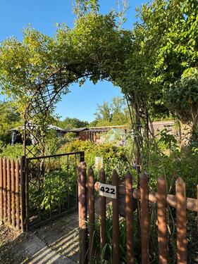 Foto - Kleingarten in Probstheida - Doppelparzelle (450 m²) mit 2 Lauben
