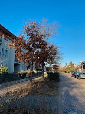 Foto - 2.5 Zimmer Erdgeschoßwohnung zum Kaufen in Limburgerhof