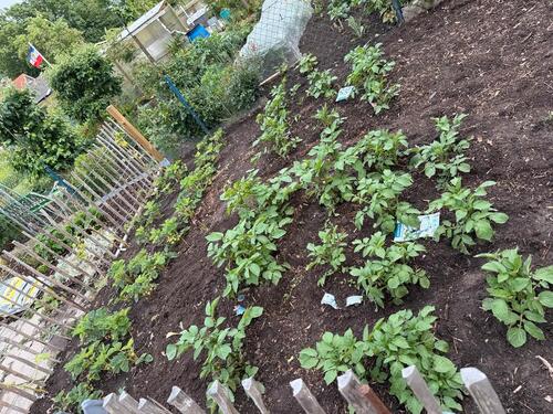 Foto - Grundst&uuml;ck in Lübeck