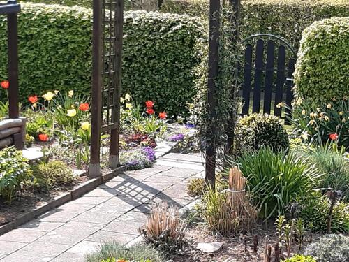 Foto - Grundst&uuml;ck in Chemnitz zur Miete