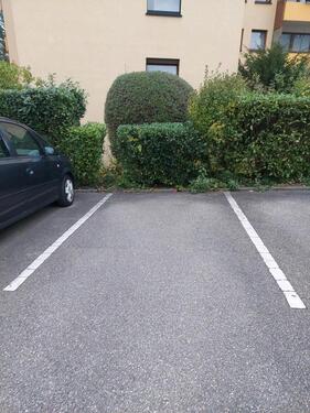 Foto - Parkplatz Stellplatz - 50,00 EUR Kaltmiete,