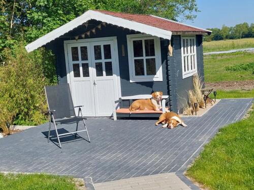 Foto - andere in Upgant-Schott