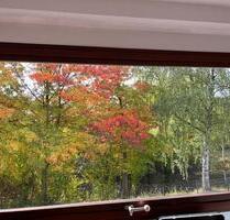 3 Zimmer-Küche, Bad - große Dachterrasse - Horn-Bad Meinberg