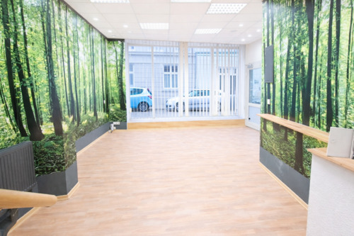 Foto - andere in Stralsund