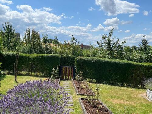 Foto - Grundst&uuml;ck in Chemnitz zur Miete