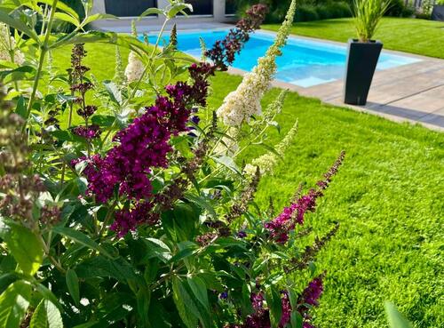 Foto - Bungalow in Friesack zum Kaufen