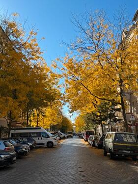 Foto - Etagenwohnung in Berlin zur Miete