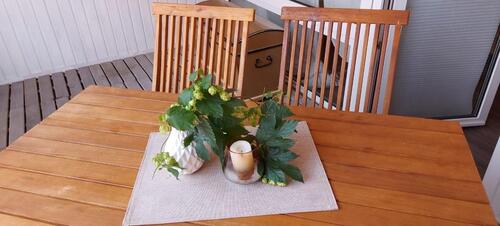 Foto - Ferienwohnung 6 Personen 90m² Wernigerode Harz modern großzügig