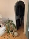 Foto - 2 Zimmer Erdgeschoßwohnung in Bochum