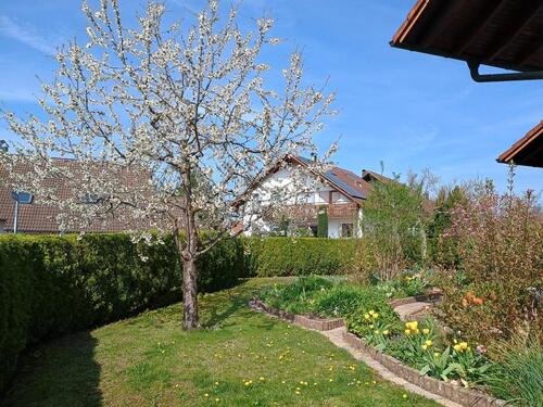 Foto - Einfamilienhaus in Hüttlingen zum Kaufen
