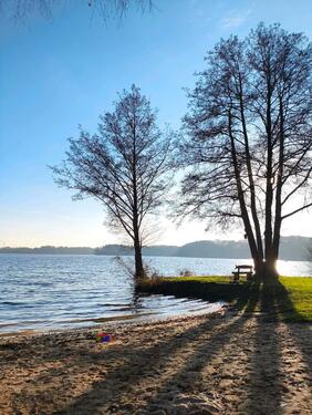 Foto - Einfamilienhaus zum Kaufen in Wittenborn