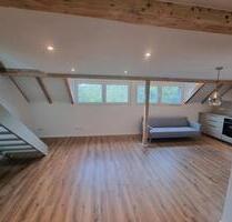 Wunderschöne Dachgeschoss-Wohnung im Grünen und ruhiger Lage ! - Wuppertal Lichtenplatz